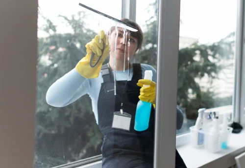 Nettoyage de vitres intérieures et extérieures à Torfou